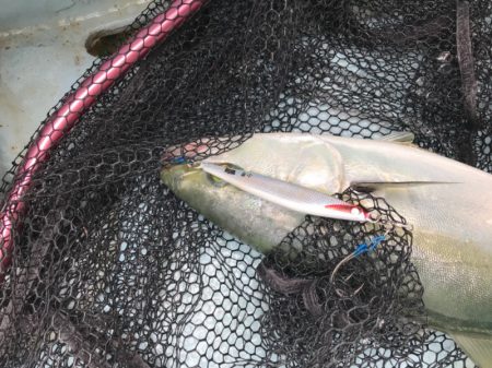 Monster Rush! 釣果