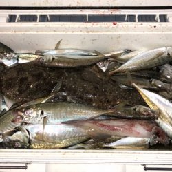 第二八坂丸 釣果