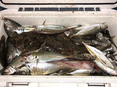 第二八坂丸 釣果