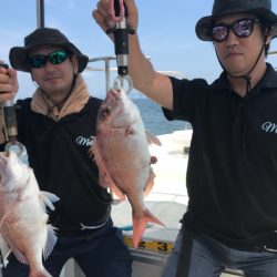 遊漁船メテオ 釣果