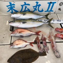 末広丸(熊本) 釣果