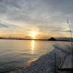 末広丸(熊本) 釣果