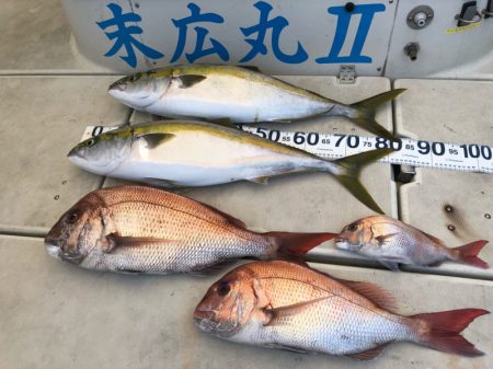 末広丸(熊本) 釣果