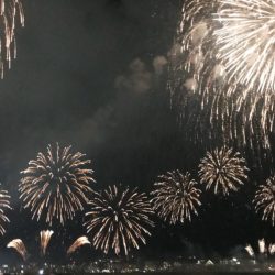 龍神丸(鹿児島) 釣果