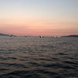 末広丸(熊本) 釣果