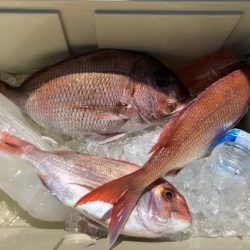 第二八坂丸 釣果