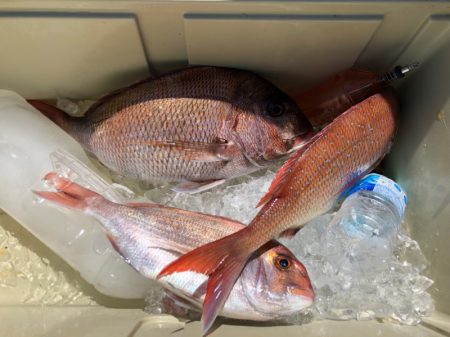 第二八坂丸 釣果