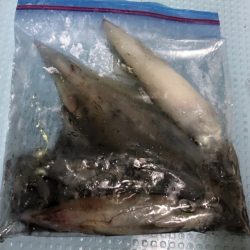 第二八坂丸 釣果