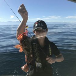 海坊主Ｖ 釣果