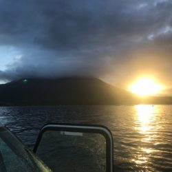 龍神丸(鹿児島) 釣果