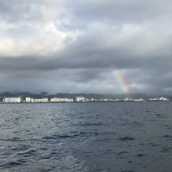 龍神丸(鹿児島) 釣果