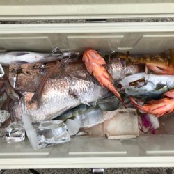 第二八坂丸 釣果