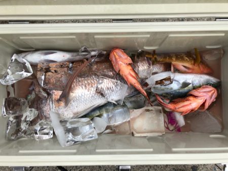 第二八坂丸 釣果