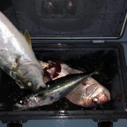 第二八坂丸 釣果