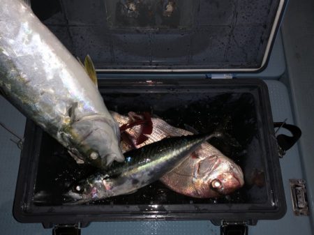 第二八坂丸 釣果