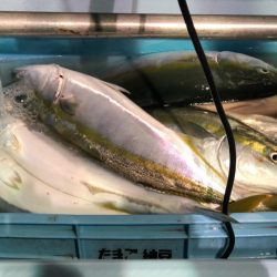 第二八坂丸 釣果