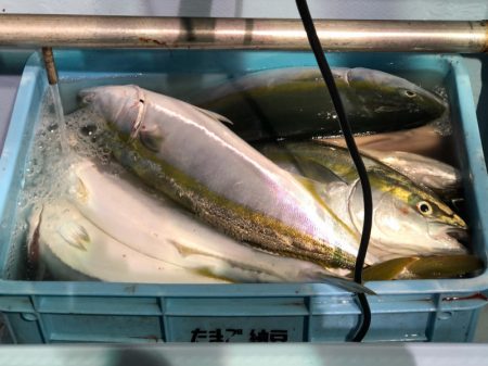 第二八坂丸 釣果