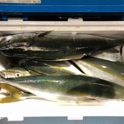 第二八坂丸 釣果