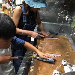 龍神丸(鹿児島) 釣果