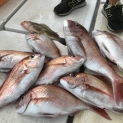 龍神丸(鹿児島) 釣果