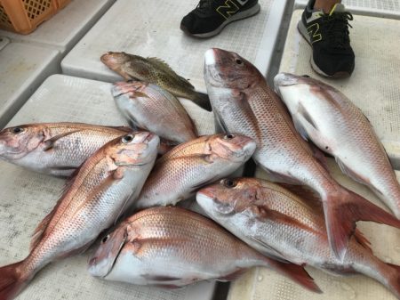 龍神丸(鹿児島) 釣果