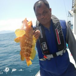 きずなまりん 釣果