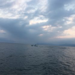 末広丸(熊本) 釣果