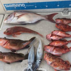 末広丸(熊本) 釣果