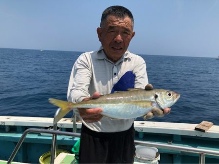 丸万釣船 釣果