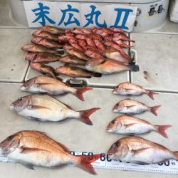 末広丸(熊本) 釣果