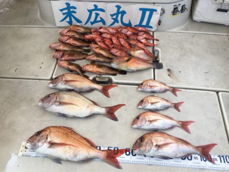 末広丸(熊本) 釣果