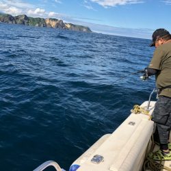 海友丸 釣果