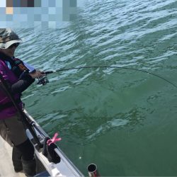 遊漁船メテオ 釣果