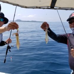 ソルトウォーターガイドフレンズ 釣果