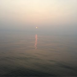 末広丸(熊本) 釣果