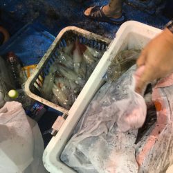 海龍丸(石川) 釣果