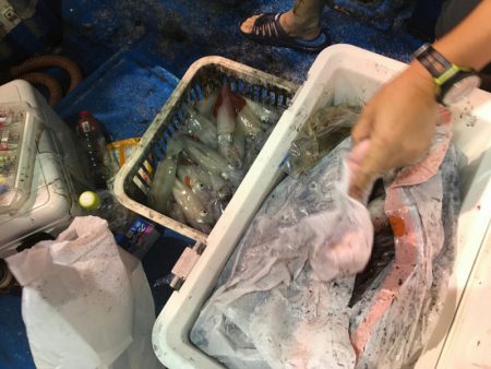 海龍丸(石川) 釣果