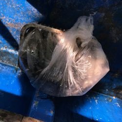 海龍丸(石川) 釣果