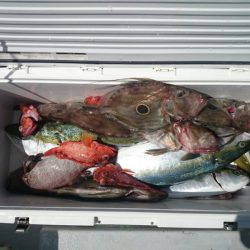 エンペラー 釣果