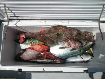 エンペラー 釣果