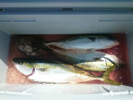 エンペラー 釣果