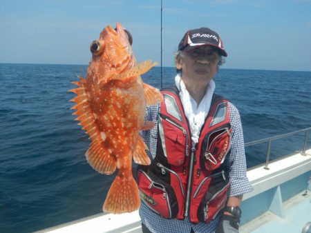 きずなまりん 釣果