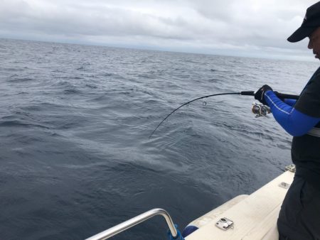 海友丸 釣果