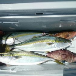 エンペラー 釣果