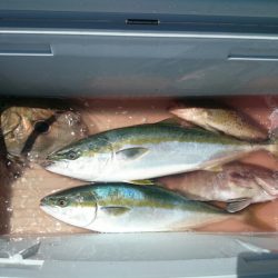 エンペラー 釣果