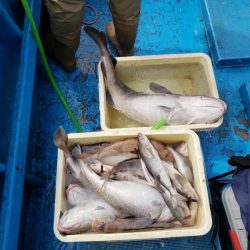さち丸 釣果