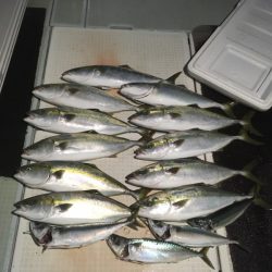 エムズジャーク（M’s JERK） 釣果