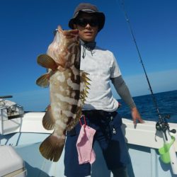 きずなまりん 釣果