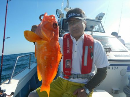 きずなまりん 釣果