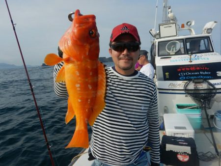 きずなまりん 釣果
